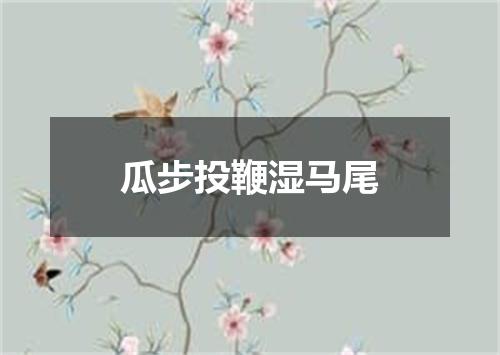 瓜步投鞭湿马尾