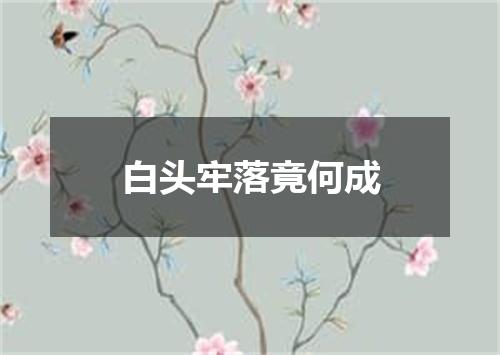 白头牢落竟何成