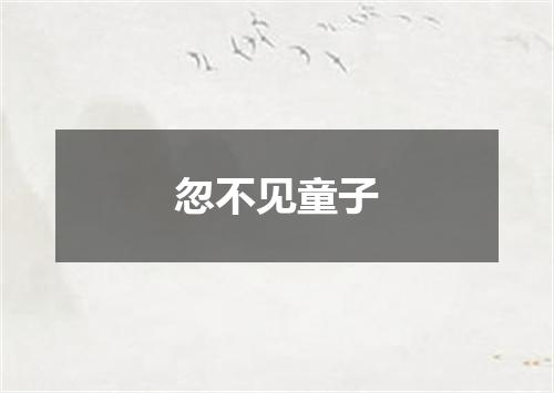 忽不见童子