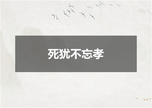 死犹不忘孝
