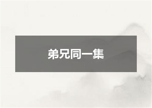 弟兄同一集