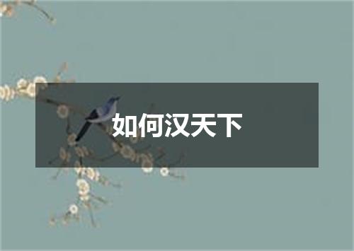 如何汉天下