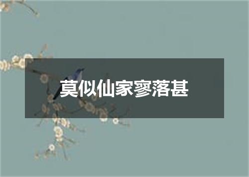 莫似仙家寥落甚