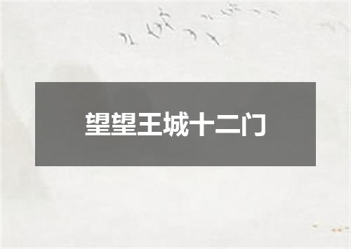 望望王城十二门