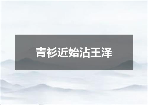 青衫近始沾王泽