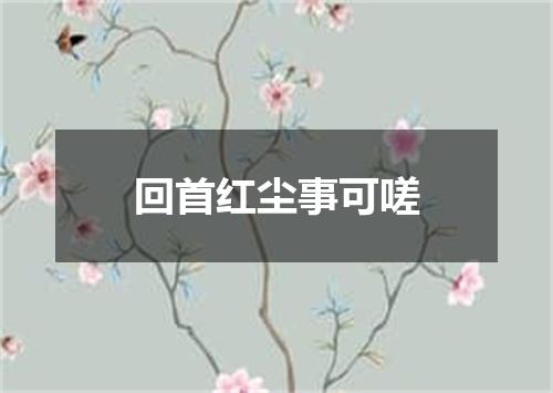 回首红尘事可嗟