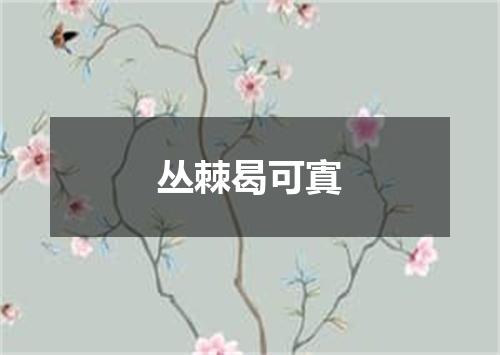 丛棘曷可寘