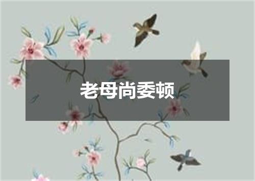 老母尚委顿