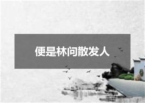 便是林问散发人