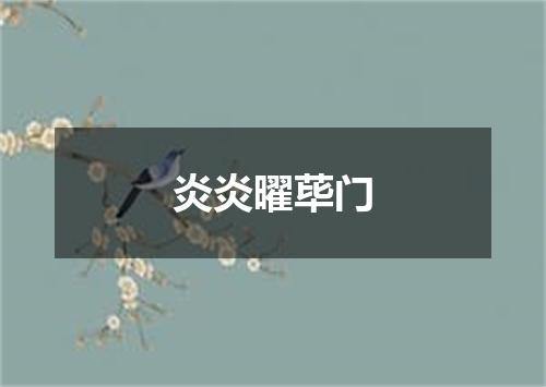 炎炎曜荜门