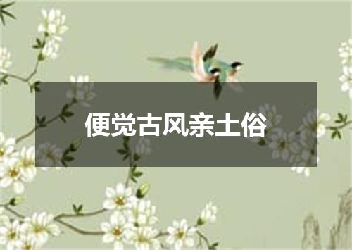 便觉古风亲土俗