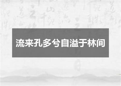 流来孔多兮自溢于林间