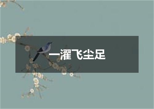 一濯飞尘足