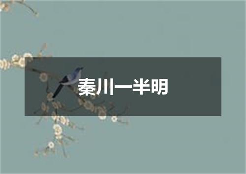 秦川一半明