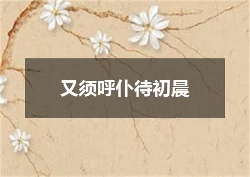 又须呼仆待初晨