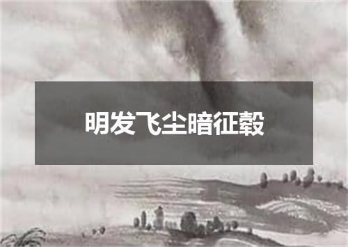 明发飞尘暗征毂