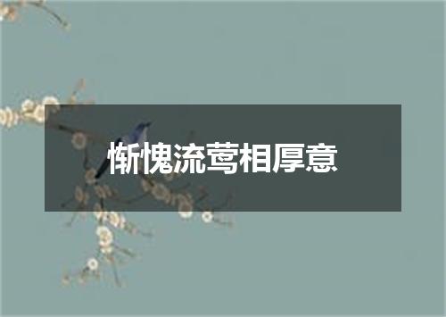 惭愧流莺相厚意