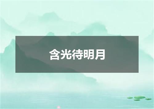 含光待明月