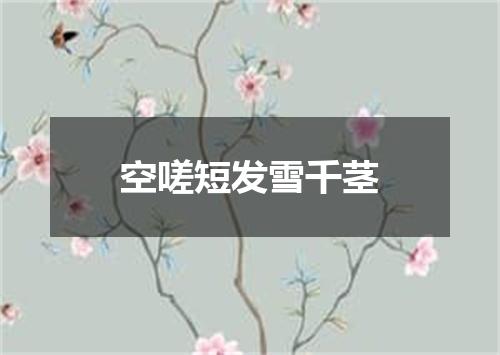 空嗟短发雪千茎