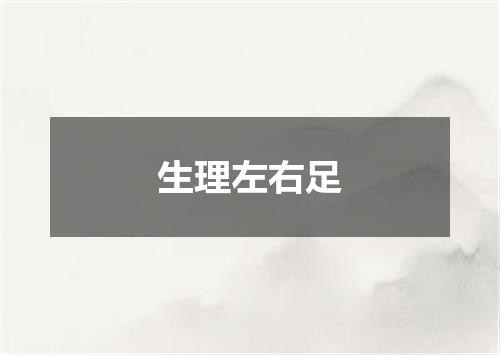 生理左右足