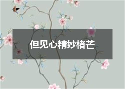 但见心精妙楮芒