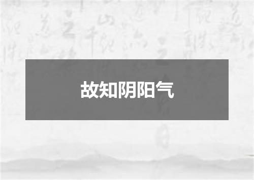 故知阴阳气