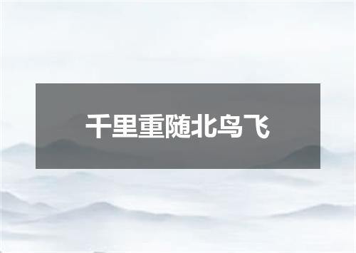 千里重随北鸟飞