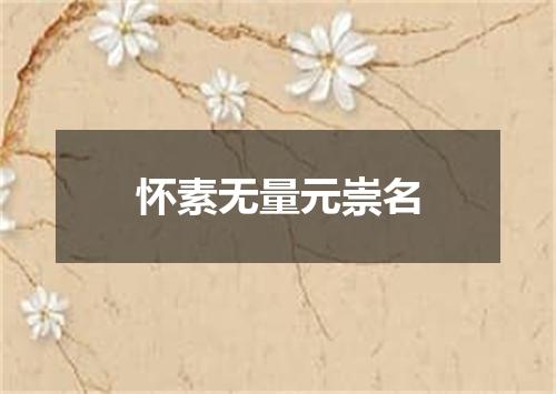 怀素无量元崇名