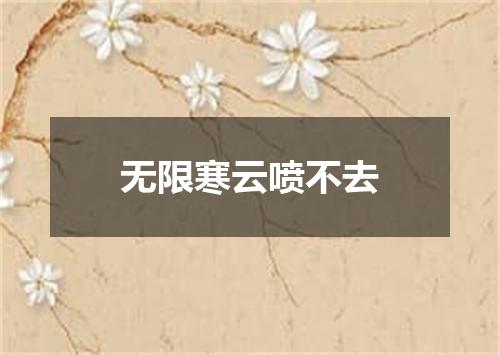 无限寒云喷不去