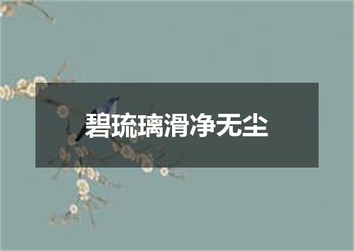 碧琉璃滑净无尘
