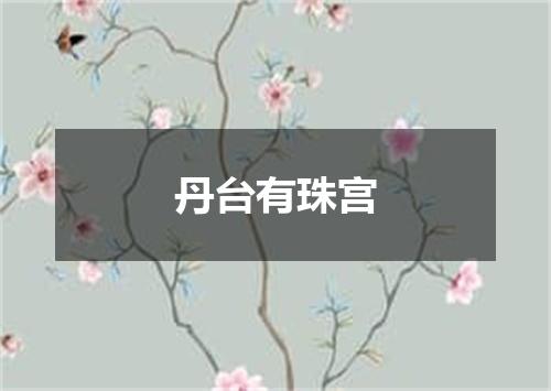 丹台有珠宫