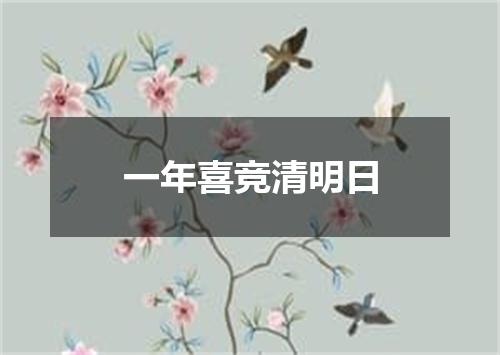 一年喜竞清明日