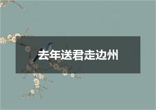 去年送君走边州