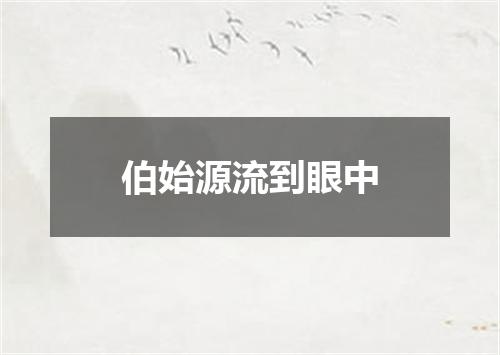 伯始源流到眼中