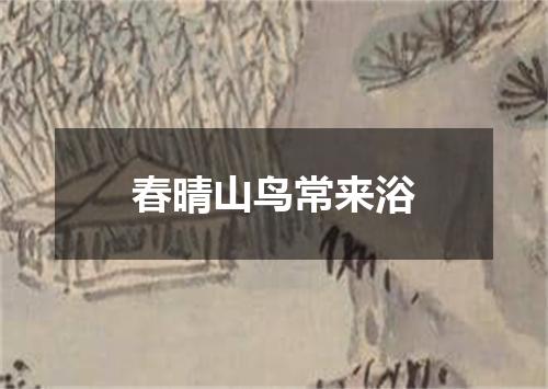 春晴山鸟常来浴