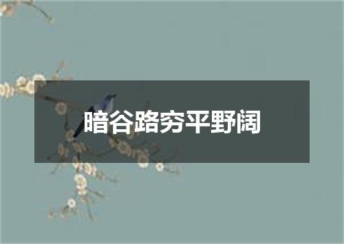 暗谷路穷平野阔