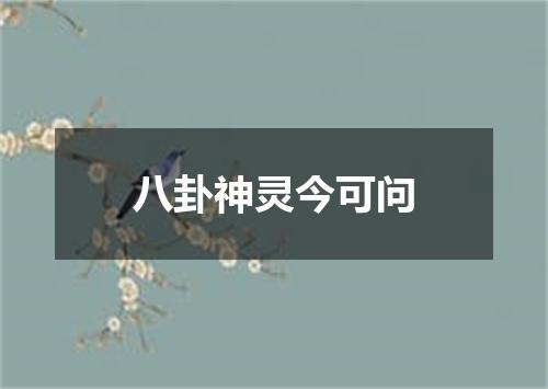 八卦神灵今可问