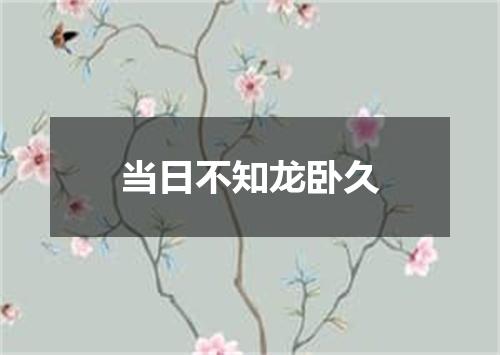 当日不知龙卧久