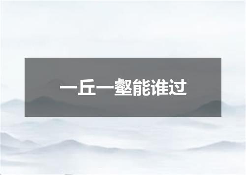 一丘一壑能谁过