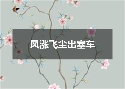 风涨飞尘出塞车