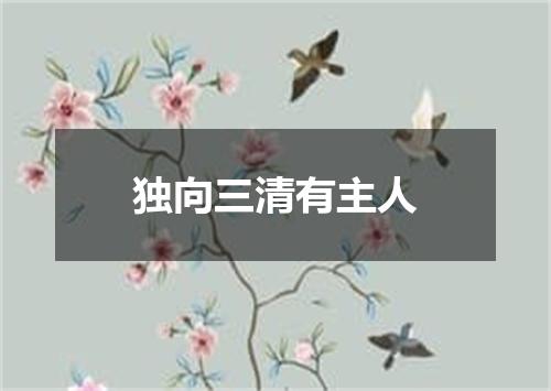 独向三清有主人