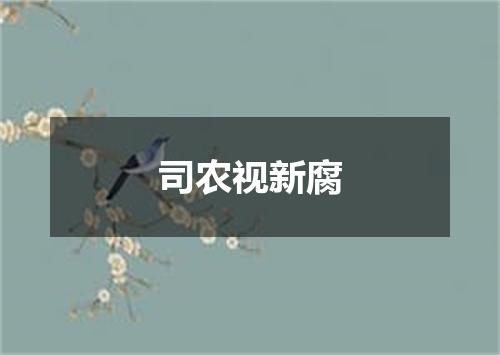 司农视新腐