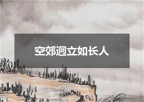 空郊迥立如长人