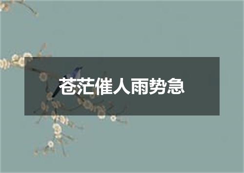 苍茫催人雨势急