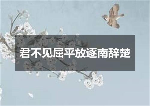君不见屈平放逐南辞楚