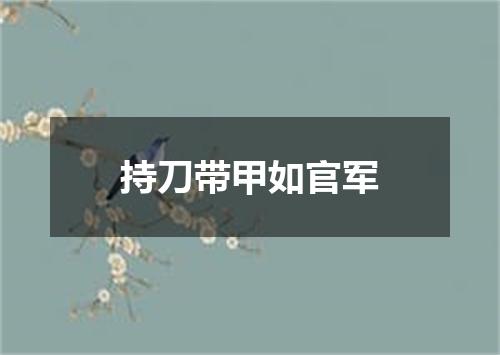 持刀带甲如官军