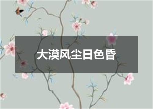 大漠风尘日色昏