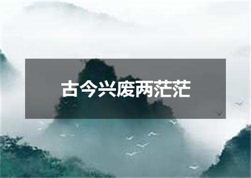 古今兴废两茫茫