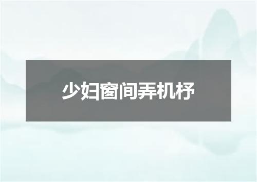 少妇窗间弄机杼