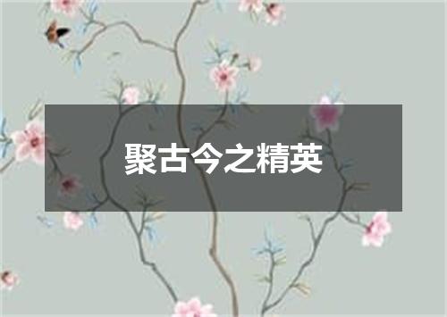 聚古今之精英